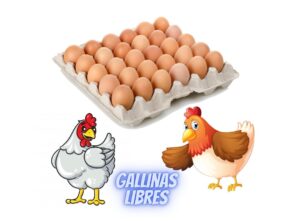 697dcded-f33b-4587-960c-4665a868a486-2 2 Bandejas Huevos Color Gallina Libre EXTRA x30 Unidades c/u